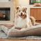 Show in main carousel: Frisco Orthopedic Sofa Cat & Dog Bed with Removable Cover, Beige, X-Large slide 1 of 9
