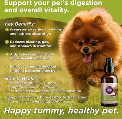 PawTides Gut Health & Digestive Aid Supplement Spray for Dogs & Cats, 2-fl oz bottle slide 2 of 3