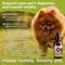 Show in main carousel: PawTides Gut Health & Digestive Aid Supplement Spray for Dogs & Cats, 2-fl oz bottle slide 3 of 4