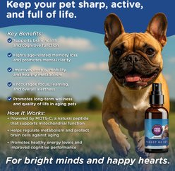 PawTides Forget Me Not Brain & Nervous System Supplement for Dogs, 2-fl oz slide 2 of 3