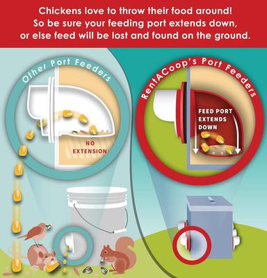 Show full view: RentACoop Anti-Roost Chicken Feeder, 10-lb slide 3 of 6