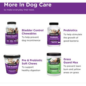 Nutri-Vet Anti-Diarrhea Liquid Medication for Dogs, 4-fl oz bottle