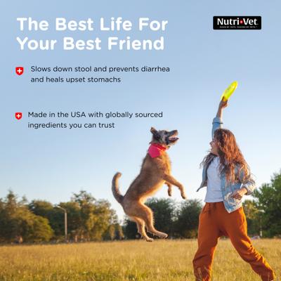 Show full view: Nutri-Vet Anti-Diarrhea Liquid Medication for Dogs, 4-fl oz bottle slide 6 of 11