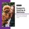 Show in main carousel: Nutri-Vet Anti-Diarrhea Liquid Medication for Dogs, 4-fl oz bottle slide 5 of 11
