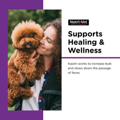 Show full view: Nutri-Vet Anti-Diarrhea Liquid Medication for Dogs, 4-fl oz bottle slide 5 of 11