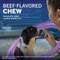 Show in main carousel: NexGard PLUS Chewables for Dogs, 33.1-66 lbs. (Purple Box) 1 Chewable Tablet (1-mo. supply) slide 4 of 12