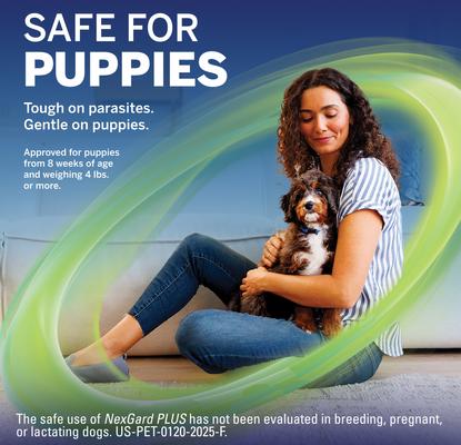 Show full view: NexGard PLUS Chewables for Dogs, 33.1-66 lbs. (Purple Box) 1 Chewable Tablet (1-mo. supply) slide 7 of 12