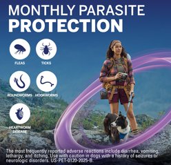 NexGard PLUS Chewables for Dogs, 4-8 lbs. (Orange Box) 6 Chewable Tablets (6-mos. supply) slide 2 of 9