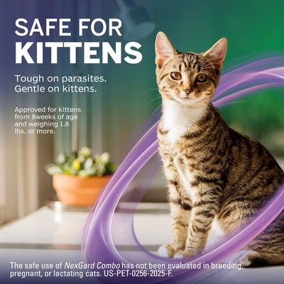 Show full view: NexGard COMBO Topical for Cats, 1.8-5.5lbs (Purple Box), 1 Dose (1-mo. supply) slide 7 of 13