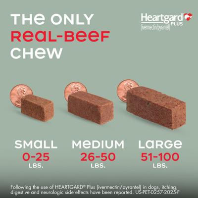 Show full view: Heartgard Plus Chew for Dogs, 51-100 lbs, (Brown Box), 6 Chews (6-mos. supply) slide 7 of 11