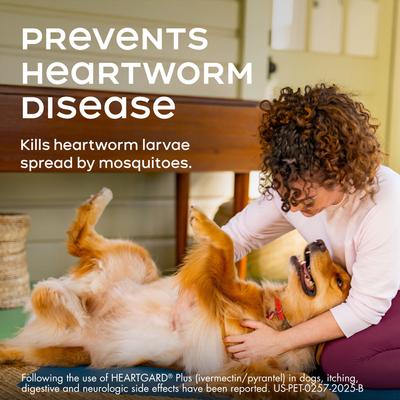 Show full view: Heartgard Plus Chew for Dogs, 51-100 lbs, (Brown Box), 1 Chew (1-mo. supply) slide 3 of 12