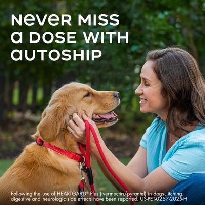 Show full view: Heartgard Plus Chew for Dogs, 51-100 lbs, (Brown Box), 1 Chew (1-mo. supply) slide 9 of 12