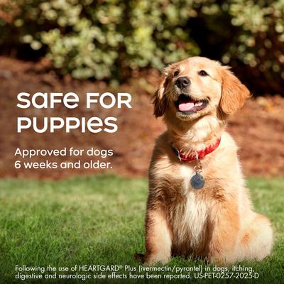 Show full view: Heartgard Plus Chew for Dogs, 51-100 lbs, (Brown Box), 1 Chew (1-mo. supply) slide 5 of 12