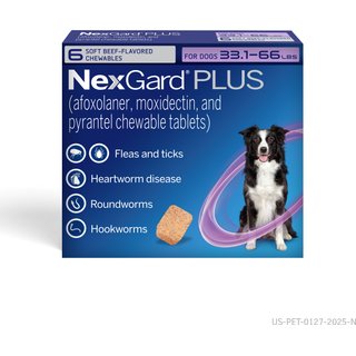 NexGard PLUS Chewables for Dogs, 33.1-66 lbs. (Purple Box) 6 Chewable Tablets (6-mos. supply) slide 1 of 9