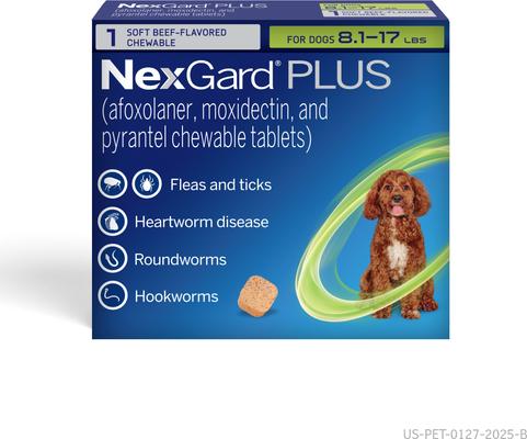 NEXGARD PLUS Chewables for Dogs, (Green Box) Easy