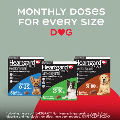 Show full view: Heartgard Plus Chew for Dogs, 51-100 lbs, (Brown Box), 6 Chews (6-mos. supply) slide 8 of 11