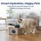 Show in main carousel: PawsPik Stainless Steel Battery-Operated Dog & Cat Water Fountain, 3.2-L slide 10 of 11