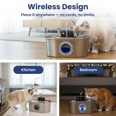 Show full view: PawsPik Stainless Steel Battery-Operated Dog & Cat Water Fountain, 3.2-L slide 7 of 11