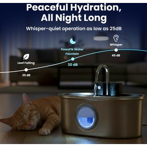 PawsPik Stainless Steel Battery-Operated Dog & Cat Water Fountain, 3.2-L