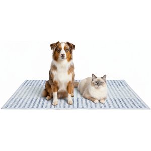 Four Paws Wee-Wee Super Absorbent Dog Pee Pads