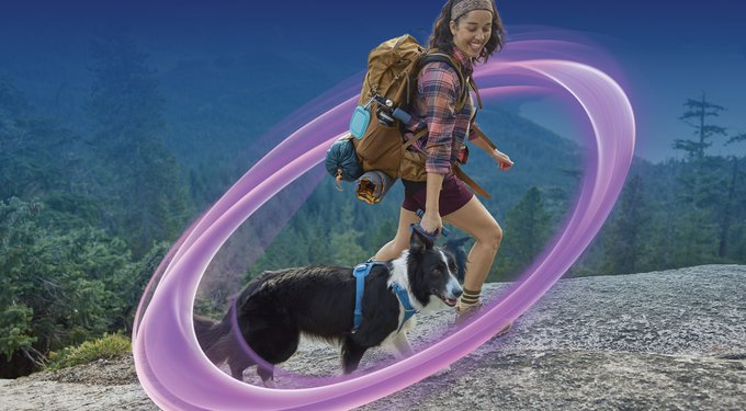 NexGard PLUS Chew for Dogs, 8.1-17 lbs. (Green Box)