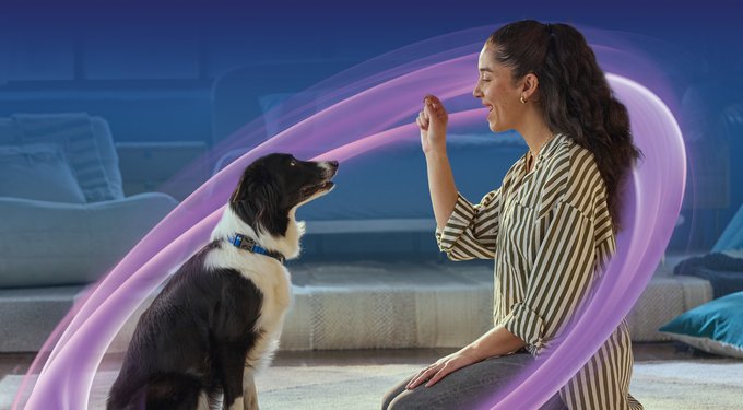 NexGard PLUS Chew for Dogs, 8.1-17 lbs. (Green Box)