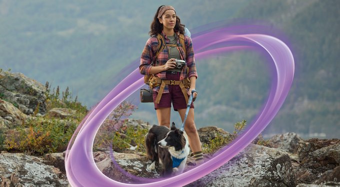 NexGard PLUS Chew for Dogs, 8.1-17 lbs. (Green Box)