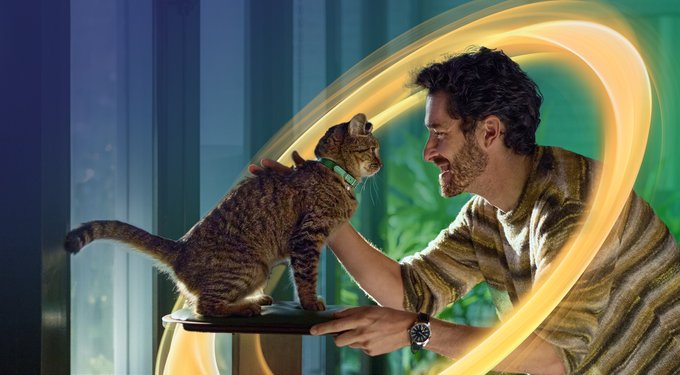 NexGard COMBO Topical for Cats, 5.6-16.5 lbs. (Yellow Box)