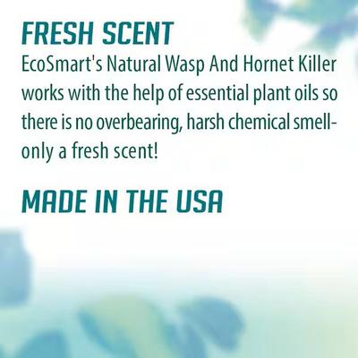 Show full view: EcoSMART Wasp & Hornet Killer, 9-fl oz bottle slide 7 of 10