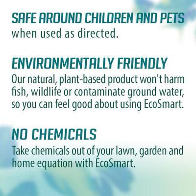 Show full view: EcoSMART Bed Bug Spray for Matt & Carpet, 14-fl oz bottle slide 4 of 8