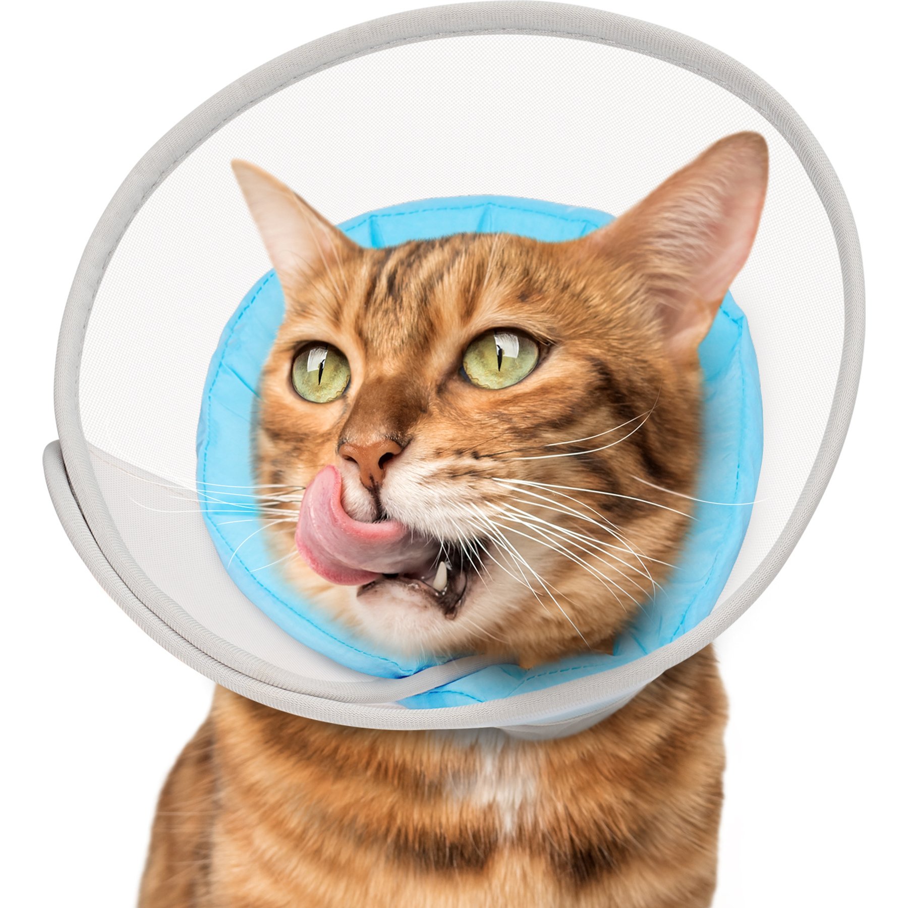 Supet Mesh Soft Pad Cat Recovery Cone, Blue, Medium