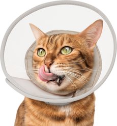 Supet Mesh Soft Pad Cat Recovery Cone, Grey, Small