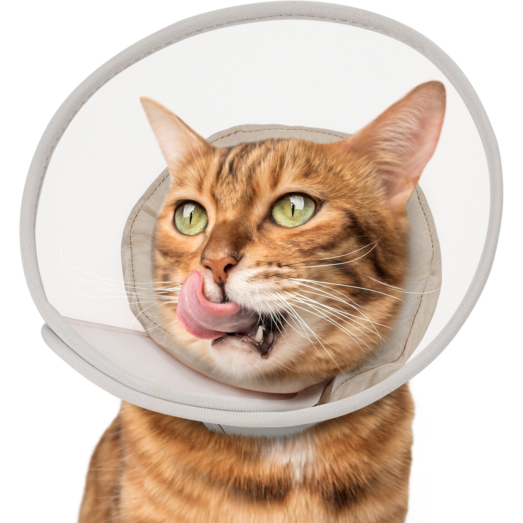 Supet Mesh Soft Pad Cat Recovery Cone, Grey, Small