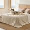 Show in main carousel: Bedsure Waterproof Sherpa Fleece Reversible Furniture Protector Dog & Cat Throw Blanket, Cream, King slide 1 of 8