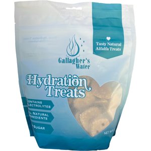 Gallaghers Water Hydration Treat Horse Supplement, 12-oz bag