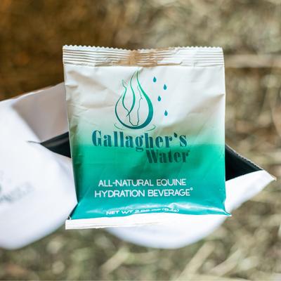 Show full view: Gallaghers Water Original Powdered Hydration Horse Supplement, 120 count slide 4 of 9