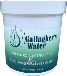 Gallaghers Water Balanced Electrolytes & Trace Minerals Powdered Hydration Horse Supplement, 1-lb jar slide 1 of 4