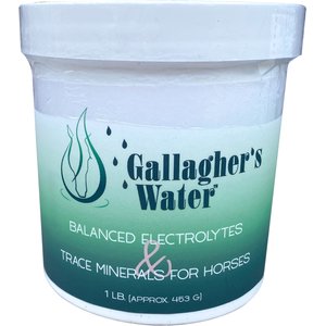 Gallaghers Water Balanced Electrolytes & Trace Minerals Powdered Hydration Horse Supplement, 1-lb jar