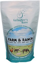 Gallaghers Water Farm & Ranch Powdered Hydration Horse Supplement, 10-lb bag slide 1 of 2