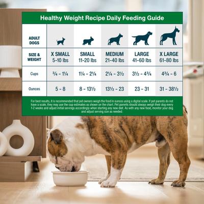 Show full view: JustFoodForDogs Adult Fresh Frozen Healthy Weight Human-Grade Pork Dog Food, 18-oz pouch, 7 count slide 8 of 9