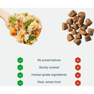 JustFoodForDogs Adult Fresh Frozen Healthy Weight Human-Grade Pork Dog Food, 18-oz pouch, case of 21