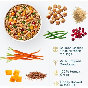 JustFoodForDogs Adult Fresh Frozen Healthy Weight Human-Grade Pork Dog Food, 18-oz pouch, case of 21