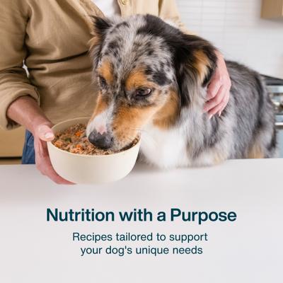 Show full view: JustFoodForDogs Adult Fresh Frozen Healthy Weight Human-Grade Pork Dog Food, 18-oz pouch, 7 count slide 6 of 9