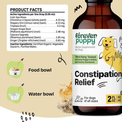 Show full view: Forever Puppy Constipation Relief Drops Digestive Supplement for Dogs, 2-fl oz bottle slide 7 of 10