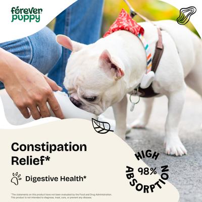 Show full view: Forever Puppy Constipation Relief Drops Digestive Supplement for Dogs, 2-fl oz bottle slide 3 of 10