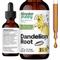 Show in main carousel: Forever Puppy Dandelion Root Drops Liver Supplement for Dogs, 2-fl oz bottle slide 1 of 10