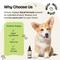 Show in main carousel: Forever Puppy Ashwagandha Drops Liquid Calming Supplement for Dogs, 4-fl oz bottle slide 6 of 9