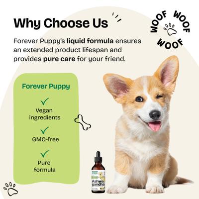 Show full view: Forever Puppy Ashwagandha Drops Liquid Calming Supplement for Dogs, 4-fl oz bottle slide 6 of 9