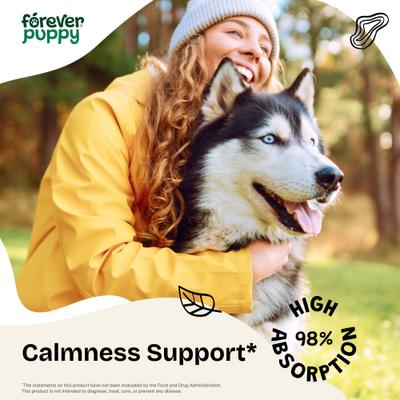 Show full view: Forever Puppy Ashwagandha Drops Liquid Calming Supplement for Dogs, 4-fl oz bottle slide 3 of 9