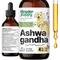 Show in main carousel: Forever Puppy Ashwagandha Drops Liquid Calming Supplement for Dogs, 4-fl oz bottle slide 1 of 9